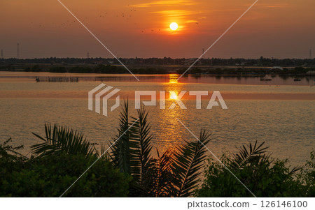 The golden sun sets over the tranquil waters of Mannar, Sri Lanka, casting a fiery reflection that lights up the calm surface. Silhouetted palm trees and distant fishermen The golden sun sets over the tranquil waters of Mannar, Sri Lanka, casting a fiery reflection that lights up the calm surface. Silhouetted palm trees and distant fishermen 126146100