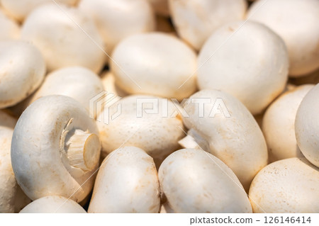 A bunch of fresh white mushrooms is currently sitting on a table A bunch of fresh white mushrooms is currently sitting on a table 126146414