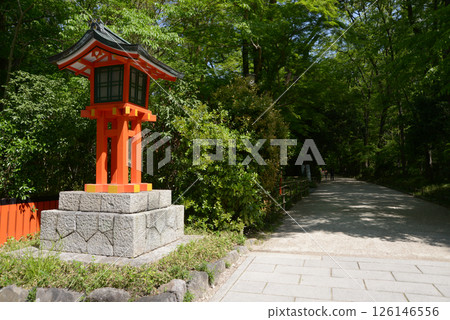 京都市左京區下鴨神社參拜道上的燈籠 京都市左京區下鴨神社參拜道上的燈籠 126146556