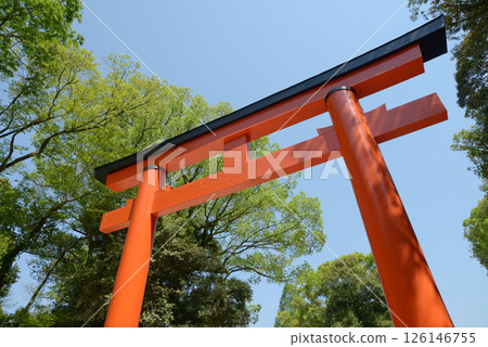 Shimogamo Shrine Torii on the approach Sakyo Ward, Kyoto City Shimogamo Shrine Torii on the approach Sakyo Ward, Kyoto City 126146755