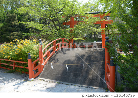 Shimogamo Shrine, Ring Bridge with Fresh Greenery, Sakyo Ward, Kyoto City 126146759