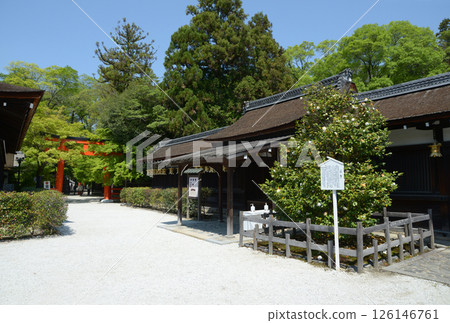 Shimogamo Shrine Mitsui Shrine Sakyo Ward, Kyoto City Shimogamo Shrine Mitsui Shrine Sakyo Ward, Kyoto City 126146761