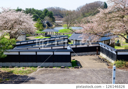 Cherry blossoms in bloom at the battlefield of the Gosannen War in Yokote, Akita Prefecture 126146826