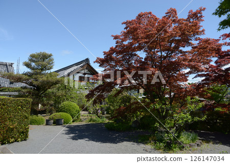 Shinko-in Temple grounds and priest's quarters, Nishigamo, Kita-ku, Kyoto City 126147034