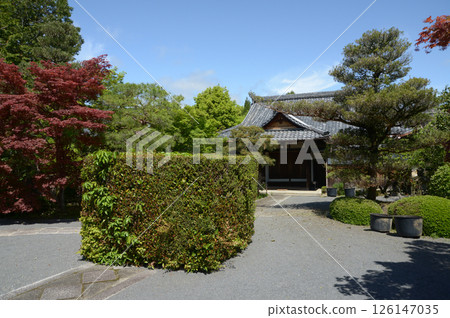 Shinko-in Temple grounds and entrance, Nishigamo, Kita-ku, Kyoto 126147035