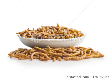 Dried salted worms. Roasted mealworms in bowl isolated on white background. Dried salted worms. Roasted mealworms in bowl isolated on white background. 126147043