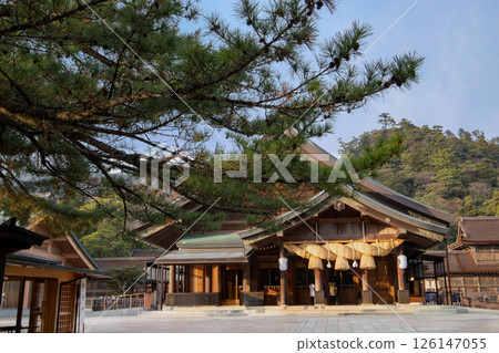 Shrine of Izumo Taisha Shrine of Izumo Taisha 126147055
