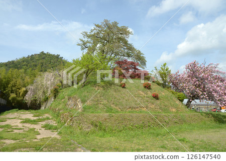 京都市北區高峰町大土井遺跡 京都市北區高峰町大土井遺跡 126147540