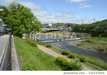Kamo River, Misonobashi area, Kita-ku, Kyoto City 126147664