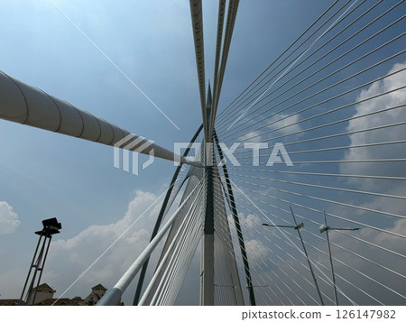 布城粉紅清真寺附近一座橋的景色 126147982