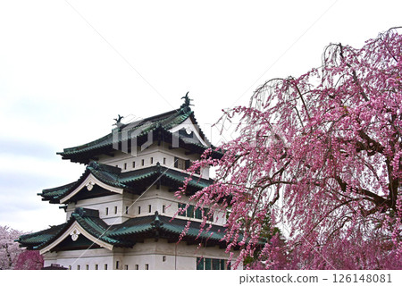 弘前公園:弘前城和櫻花 弘前公園:弘前城和櫻花 126148081