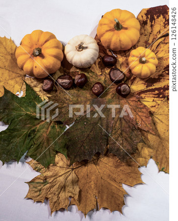 Autumn frame made of knitted leafs oak and maple orange pumpkins on grey background Conceptautumn Thanksgiving Halloween Autumn frame made of knitted leafs oak and maple orange pumpkins on grey background Conceptautumn Thanksgiving Halloween 126148426