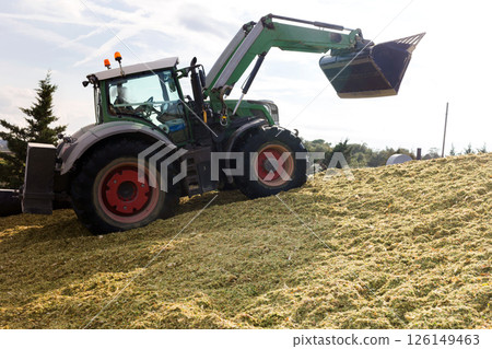 Production of fodder in agricultural complex Production of fodder in agricultural complex 126149463