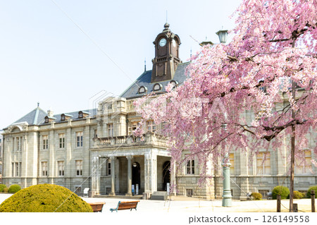 垂枝櫻花與文翔館 垂枝櫻花與文翔館 126149558