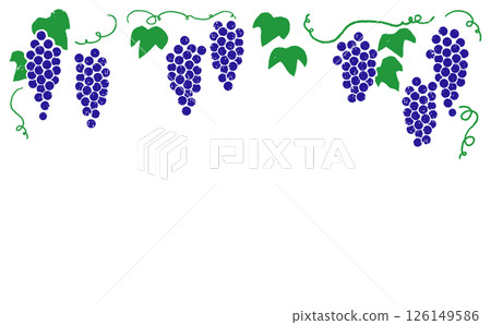 僅葡萄頂部的框架 |巨峰,帶有藤蔓的紫葡萄,木版畫風格,手繪 僅葡萄頂部的框架 |巨峰,帶有藤蔓的紫葡萄,木版畫風格,手繪 126149586