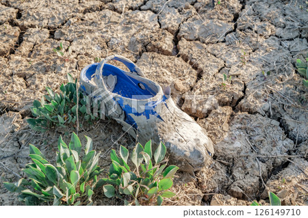 sandal in dried mud on cracked ground sandal in dried mud on cracked ground 126149710