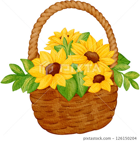 Sunflower basket for summer picnic 126150204