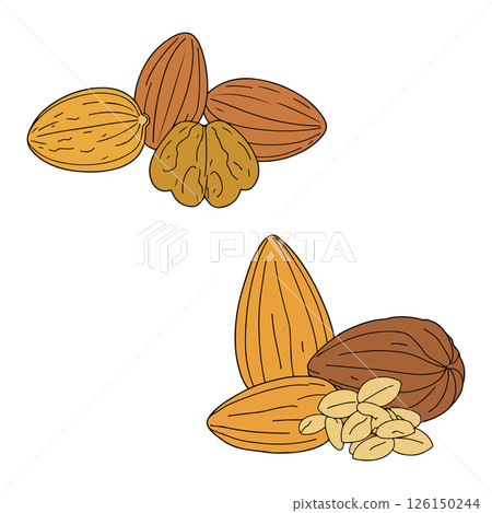 Assorted Nuts Illustration Assorted Nuts Illustration 126150244
