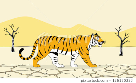 Tiger in a Dry Landscape 126150353