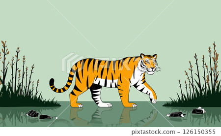 Tiger Walking in Water 126150355