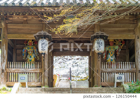 [8th Fudasho] Spring Kumagai-ji Temple Chumon [Shikoku 88 temples] 126150444