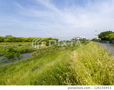 Scenery along the Inagawa River covered in fresh greenery 126150453