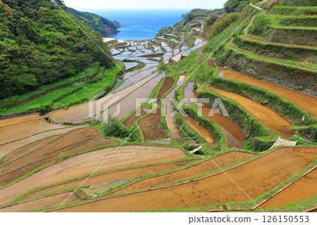 [Saga Prefecture] Hamanoura rice terraces on a clear day 126150553