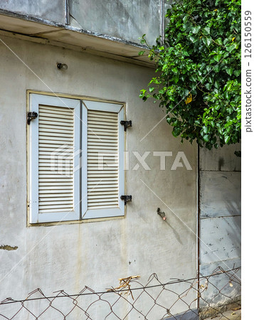 Window with Plastic Venetian Blinds 126150559