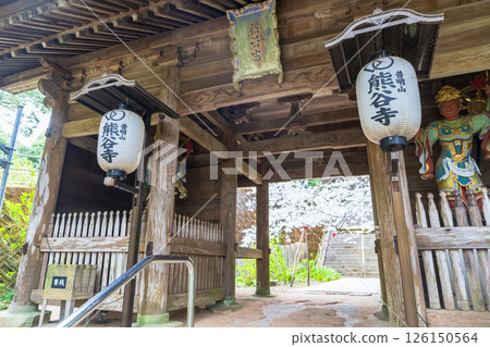 [第 8 次 Fudasho] 春天 Kumagai-ji Temple Chumon [四國 88 寺廟] 126150564