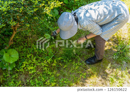 A woman weeding a garden overgrown with weeds 126150622