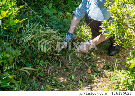 A woman weeding a garden overgrown with weeds A woman weeding a garden overgrown with weeds 126150625