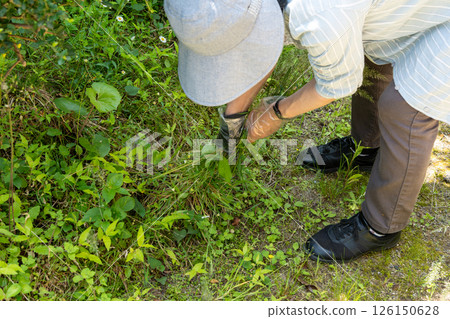 A woman weeding a garden overgrown with weeds 126150628