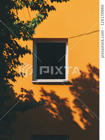 Window on Orange Wall with Tree Shadows Window on Orange Wall with Tree Shadows 126150666