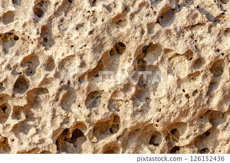 porous texture of beach stone close-up, background 126152436