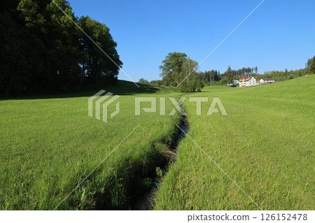A grassy field with a small stream running through it A grassy field with a small stream running through it 126152478