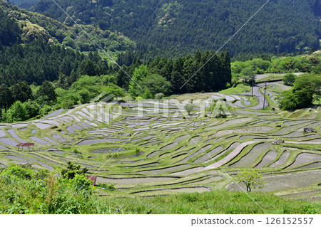 Maruyama Senmaida: Rice terraces waiting for planting 126152557