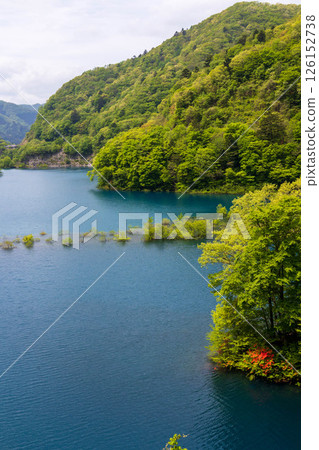 群馬縣中之條町初夏的奧島湖 126152738