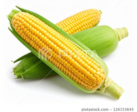 Fresh yellow corn over white background 126153645