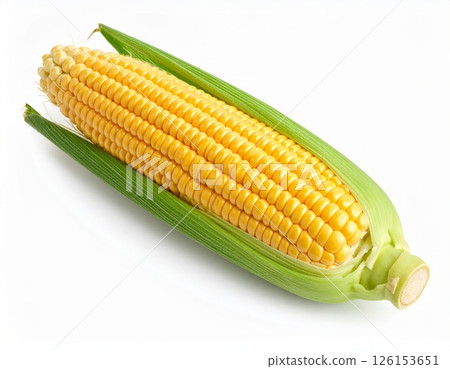 Fresh yellow corn over white background 126153651