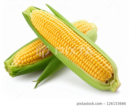 Fresh yellow corn over white background 126153666