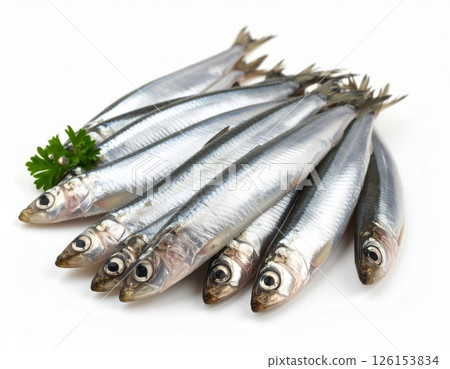 Fish close view on white background 126153834