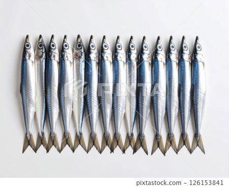 Fish close view on white background 126153841