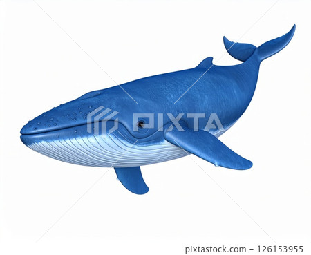 Swimming whale over white background 126153955