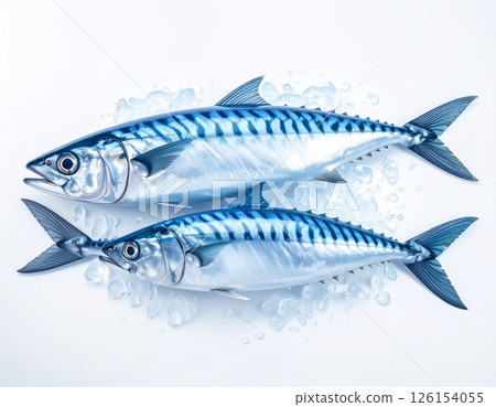 Frozen fish with ice over white background 126154055
