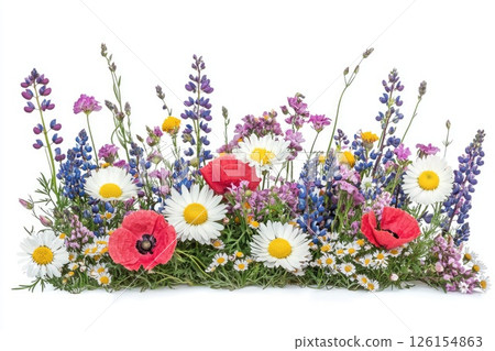 Colorful wildflowers blooming, creating vibrant meadow border on white background 126154863