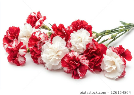 Red and white carnations lying on a white background 126154864