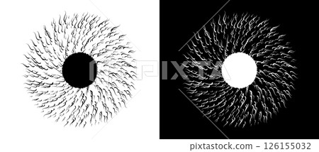 Abstract art lines design like eye shape as symbol, logo or icon. Black shape on a white background and the same white shape on the black side. Abstract art lines design like eye shape as symbol, logo or icon. Black shape on a white background and the same white shape on the black side. 126155032