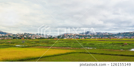 Typical landscape of Madagascar on overcast cloudy day - people working at wet rice fields in foreground, houses on small hills of Antananarivo suburb 126155149