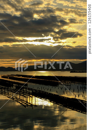 瀨戶內海的牡蠣養殖業蓬勃發展（東廣島市秋津町） 126155408