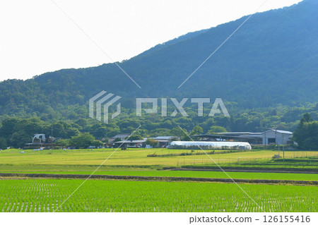 有牧場的鄉村景觀 有牧場的鄉村景觀 126155416